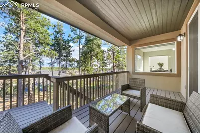 16267 Thunder Cat Way, Monument, CO 80132 - Photo 46