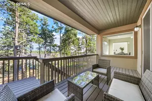 16267 Thunder Cat Wy, Monument, CO 80132 - Photo 46