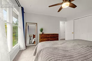 313 Raspberry Ln, Monument, CO 80132 - Photo 16