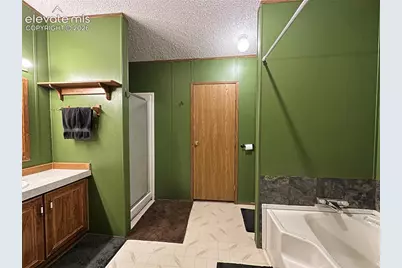 45 La Abu Trail, Florissant, CO 80816 - Photo 12