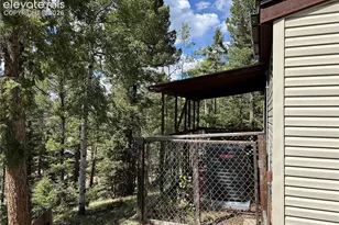 45 La Abu Trail, Florissant, CO 80816 - Photo 16