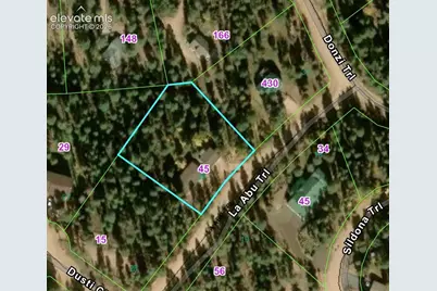 45 La Abu Trail, Florissant, CO 80816 - Photo 24
