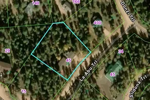45 La Abu Trail, Florissant, CO 80816 - Photo 24