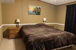 45 La Abu Trail, Florissant, CO 80816 - Photo 8