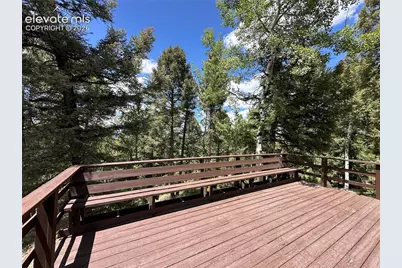45 La Abu Trail, Florissant, CO 80816 - Photo 14