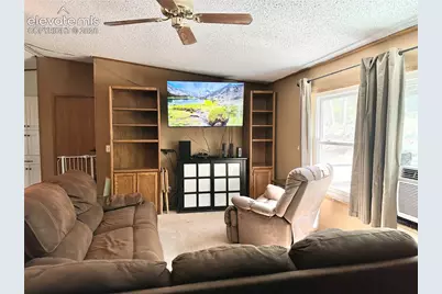45 La Abu Trail, Florissant, CO 80816 - Photo 6