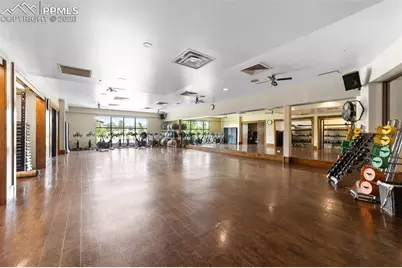 2703 Crooked Vine Court, Colorado Springs, CO 80921 - Photo 38