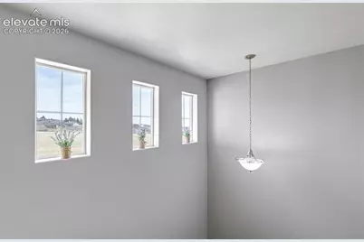 17099 Blue Mist Grove, Monument, CO 80132 - Photo 20