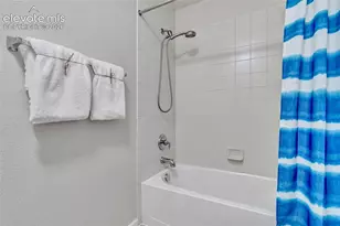 17099 Blue Mist Grove, Monument, CO 80132 - Photo 36