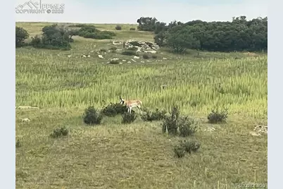 Tbd S State Highway 83, Franktown, CO 80116 - Photo 6