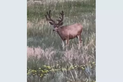 Tbd S State Highway 83, Franktown, CO 80116 - Photo 4