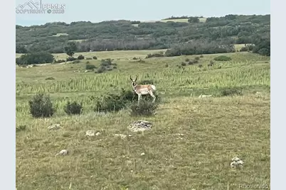 Tbd S State Highway 83, Franktown, CO 80116 - Photo 8