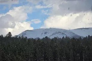 50 Worley Rd, Divide, CO 80814 - Photo 36