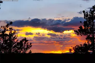 164 Spring Valley Cir, Divide, CO 80814 - Photo 48