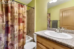 164 Spring Valley Cir, Divide, CO 80814 - Photo 30