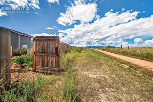 8746 Bittercress Dr, Colorado Springs, CO 80925 - Photo 44