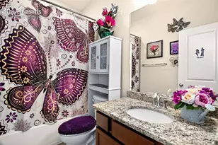 8746 Bittercress Dr, Colorado Springs, CO 80925 - Photo 8