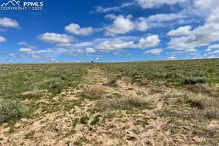 30790 Darroll Rd, Yoder, CO 80864 - Photo 1