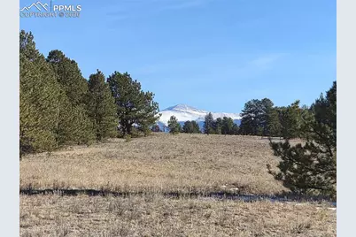 38340 US Hwy 24, Lake George, CO 80827 - Photo 4