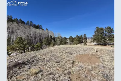 38340 US Hwy 24, Lake George, CO 80827 - Photo 6