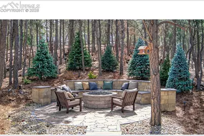255 Jack Boot Way, Monument, CO 80132 - Photo 26