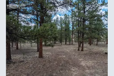 41 &amp; 73 Ingels Drive, Florissant, CO 80816 - Photo 2