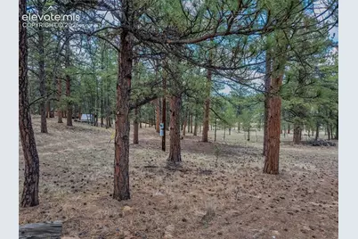 41 &amp; 73 Ingels Drive, Florissant, CO 80816 - Photo 18