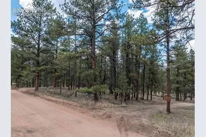 41 &amp; 73 Ingels Drive, Florissant, CO 80816 - Photo 16