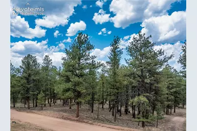 41 &amp; 73 Ingels Drive, Florissant, CO 80816 - Photo 14