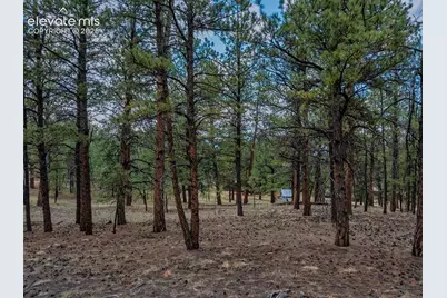 41 &amp; 73 Ingels Drive, Florissant, CO 80816 - Photo 12