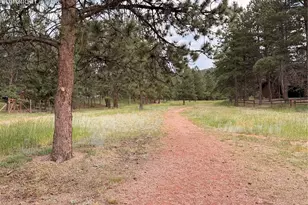 2020 Valley View Dr, Woodland Park, CO 80863 - Photo 28