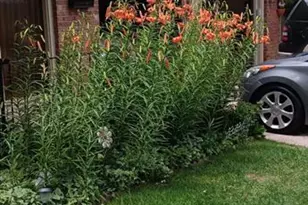 50 N Dartmouth St, Colorado Springs, CO 80911 - Photo 38