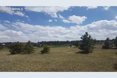 16935 Oldborough Heights, Monument, CO 80132 - Photo 10