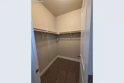 6016 Miller Run Place, Colorado Springs, CO 80924 - Photo 24