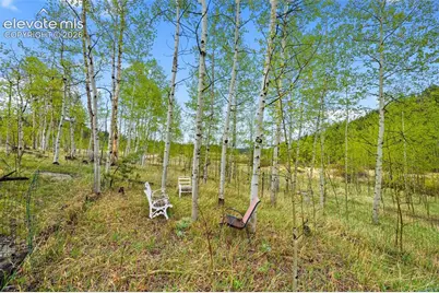 522 Hidden Valley Drive, Lake George, CO 80827 - Photo 4