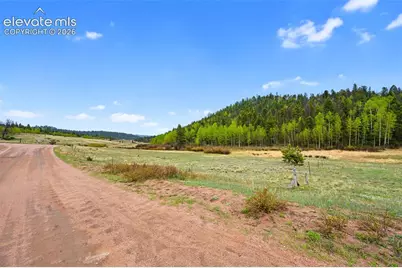 522 Hidden Valley Drive, Lake George, CO 80827 - Photo 6