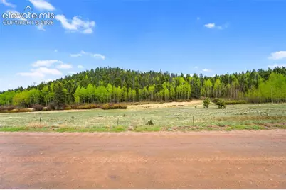 522 Hidden Valley Drive, Lake George, CO 80827 - Photo 34
