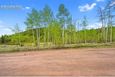 522 Hidden Valley Drive, Lake George, CO 80827 - Photo 16