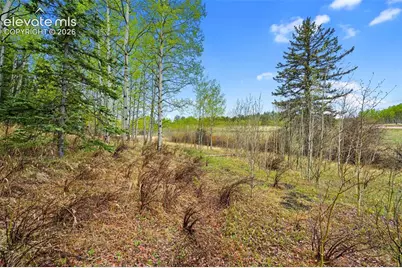 522 Hidden Valley Drive, Lake George, CO 80827 - Photo 10