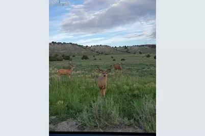 18461 Highway 115, Penrose, CO 81240 - Photo 42