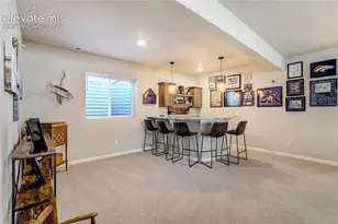 11824 Alydar Loop, Colorado Springs, CO 80921 - Photo 30