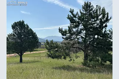 333 Golden Grain Lane, Divide, CO 80814 - Photo 4