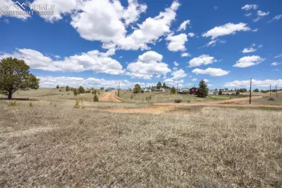 333 Golden Grain Lane, Divide, CO 80814 - Photo 12