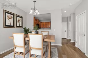 17095 Blue Mist Grove, Monument, CO 80132 - Photo 10