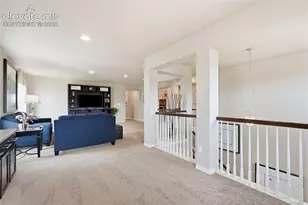 2264 Reed Grass Way, Colorado Springs, CO 80915 - Photo 24
