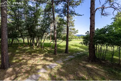 17220 Shiloh Pines Drive, Monument, CO 80132 - Photo 48