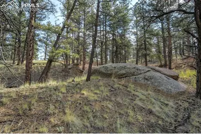 39 Reed Drive, Florissant, CO 80816 - Photo 14