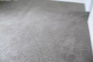 303 Ellers Grove, Colorado Springs, CO 80916 - Photo 14