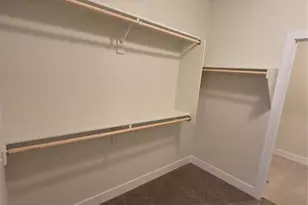 6030 Miller Run Pl, Colorado Springs, CO 80924 - Photo 16