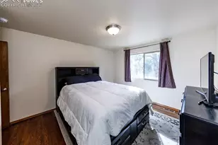 10916 Silver Mountain Point, Colorado Springs, CO 80908 - Photo 38